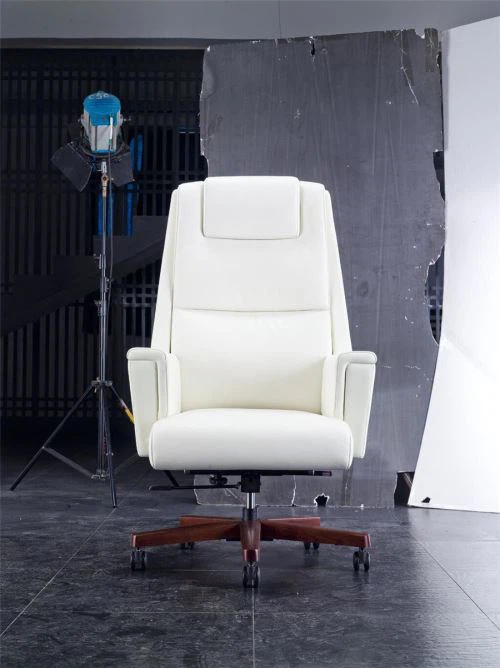 Pristen usnje urad stol